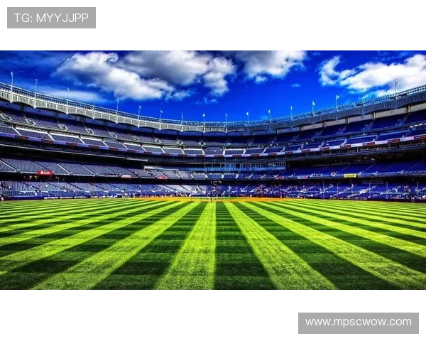 体育迷热衷的b体育app全面升级带来全新用户体验